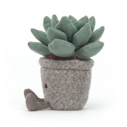 Peluche "Silly Succulent Azulita"