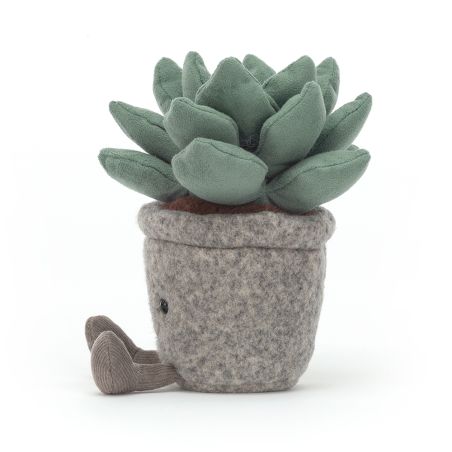 Peluche "Silly Succulent Azulita"