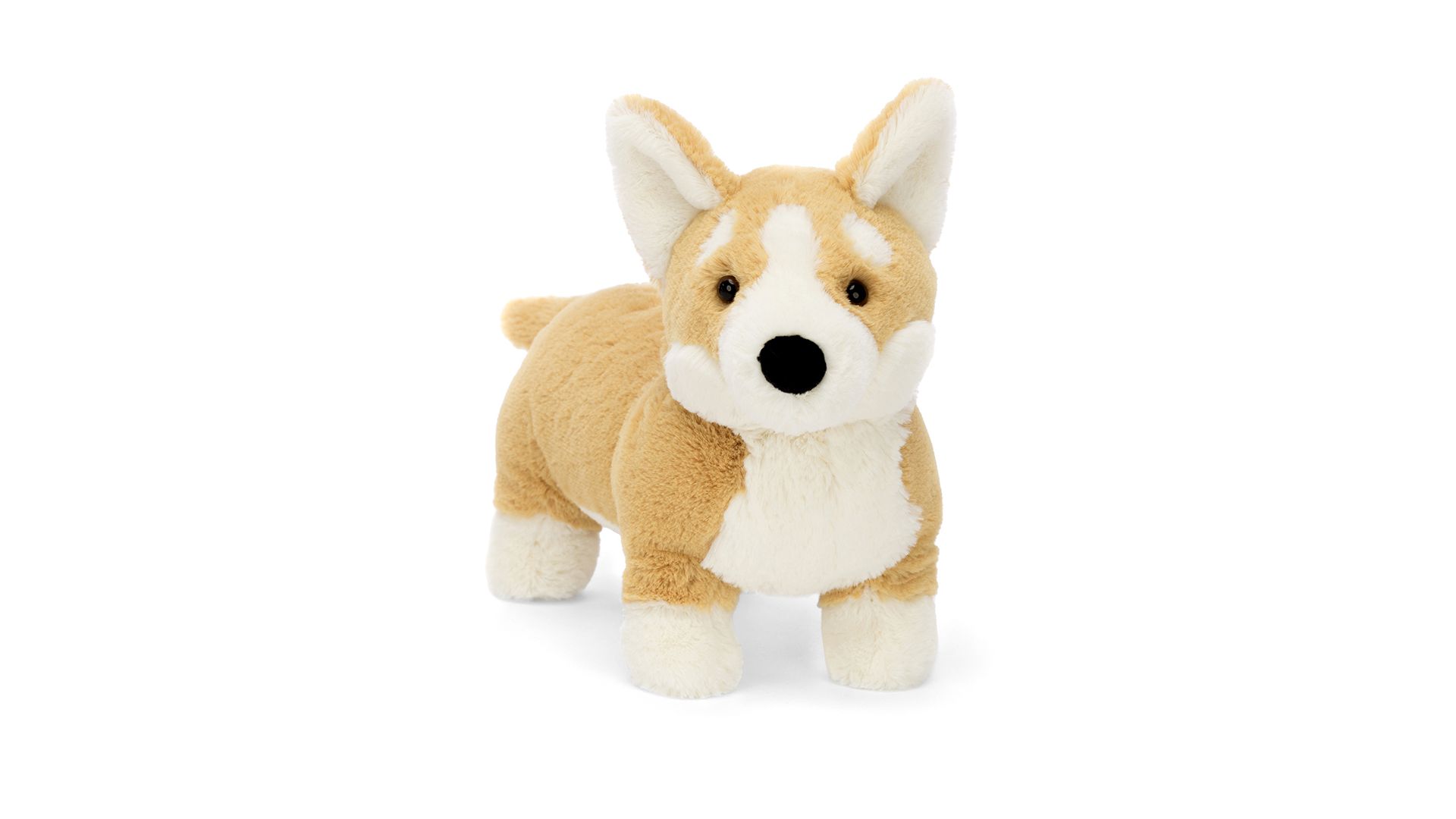 Peluche "Betty Corgi"