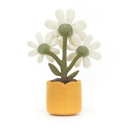 new